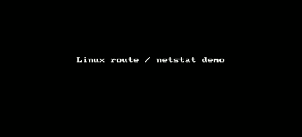 router-command-demo